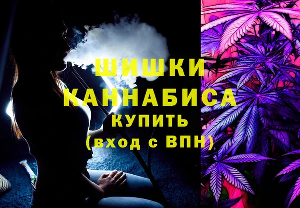 амф Горняк