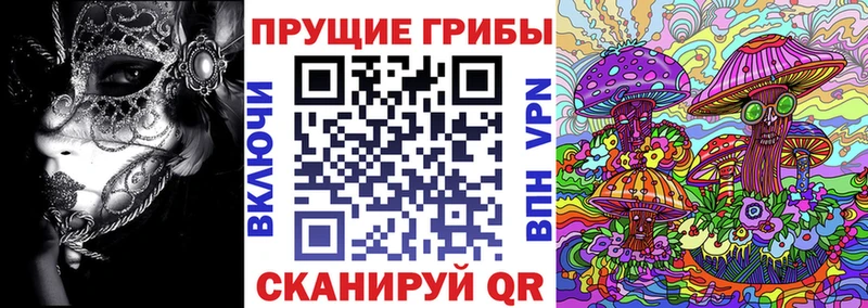 Купить  Сунжа  Псилоцибиновые грибы мухоморы 